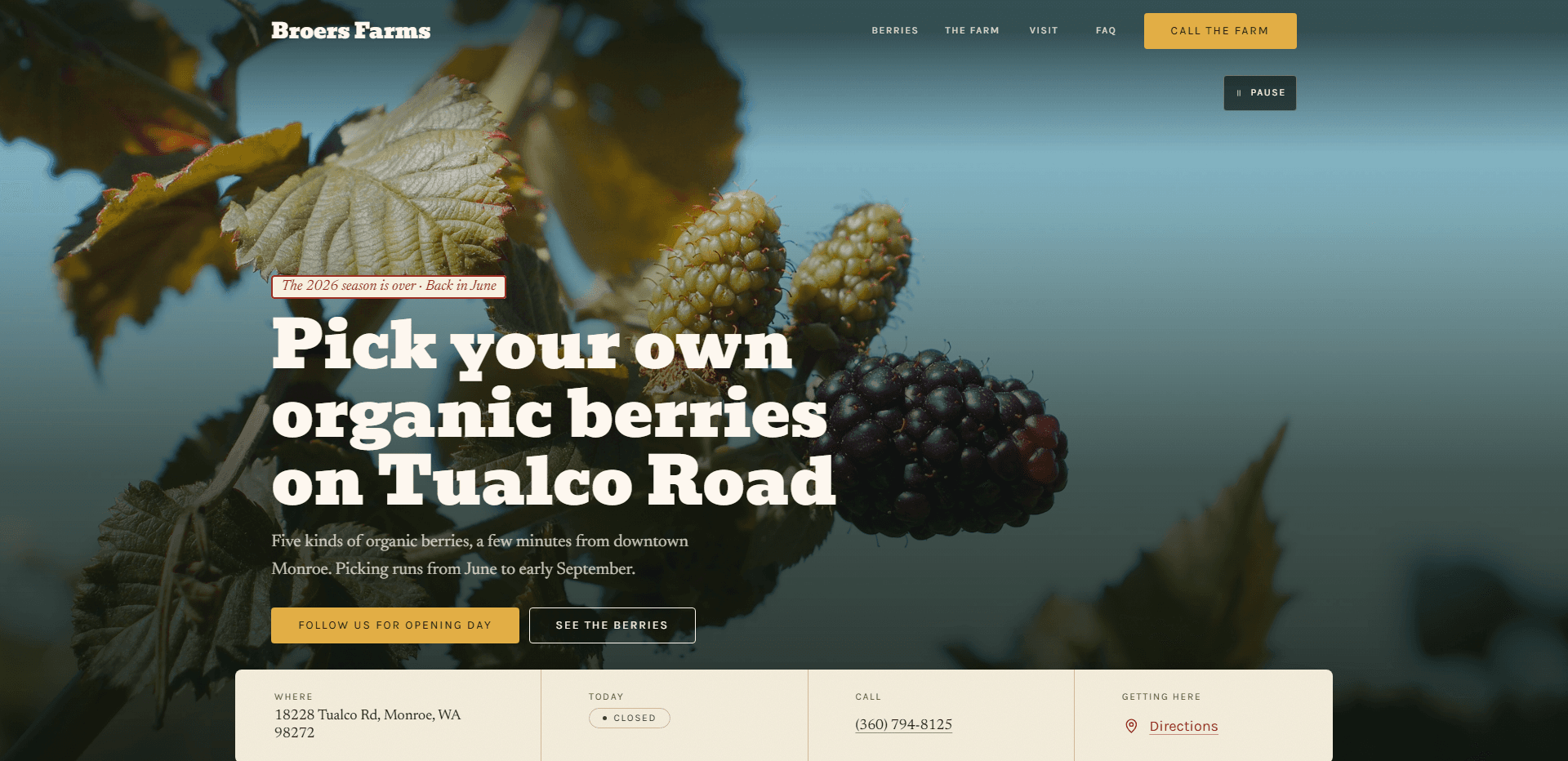 Homepage of Broers Farms: a video still of blackberries ripening from green to deep purple among serrated leaves against a soft blue sky, under a top bar carrying the heavy slab-serif 'Broers Farms' wordmark, navigation reading Berries, The Farm, Visit, and FAQ, and a golden 'Call the farm' button, above a 'Pause' control for the background video, a red-outlined italic tag reading 'The 2026 season is over - Back in June', the heavy slab-serif headline 'Pick your own organic berries on Tualco Road', a line about five kinds of organic berries a few minutes from downtown Monroe, with picking from June to early September, a golden 'Follow us for opening day' button beside an outlined 'See the berries' button, and a cream information bar listing the address, today's closed status, the phone number, and a directions link.