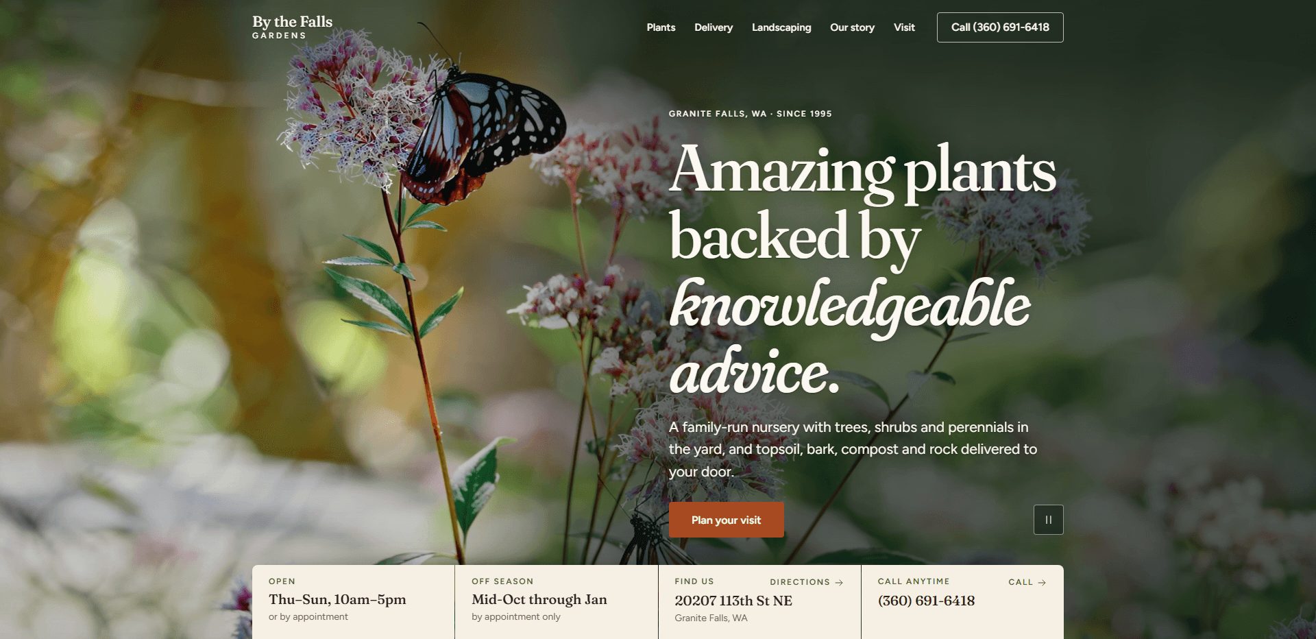 Homepage of By the Falls Gardens: a soft-focus video still of a black, white, and orange butterfly resting on pale pink flower clusters against blurred green foliage, under a top bar carrying the serif 'By the Falls Gardens' wordmark, navigation reading Plants, Delivery, Landscaping, Our story, and Visit, and an outlined 'Call' phone number button, above the kicker 'Granite Falls, WA - Since 1995', the large serif headline 'Amazing plants backed by knowledgeable advice.' with its last two words in italic, a line about a family-run nursery with trees, shrubs, and perennials in the yard and topsoil, bark, compost, and rock delivered to your door, a rust 'Plan your visit' button, a pause control for the background video, and a cream information bar listing open hours of Thu-Sun, 10am-5pm or by appointment, an off season of mid-Oct through Jan by appointment only, the Granite Falls address with a directions link, and a call-anytime phone number.